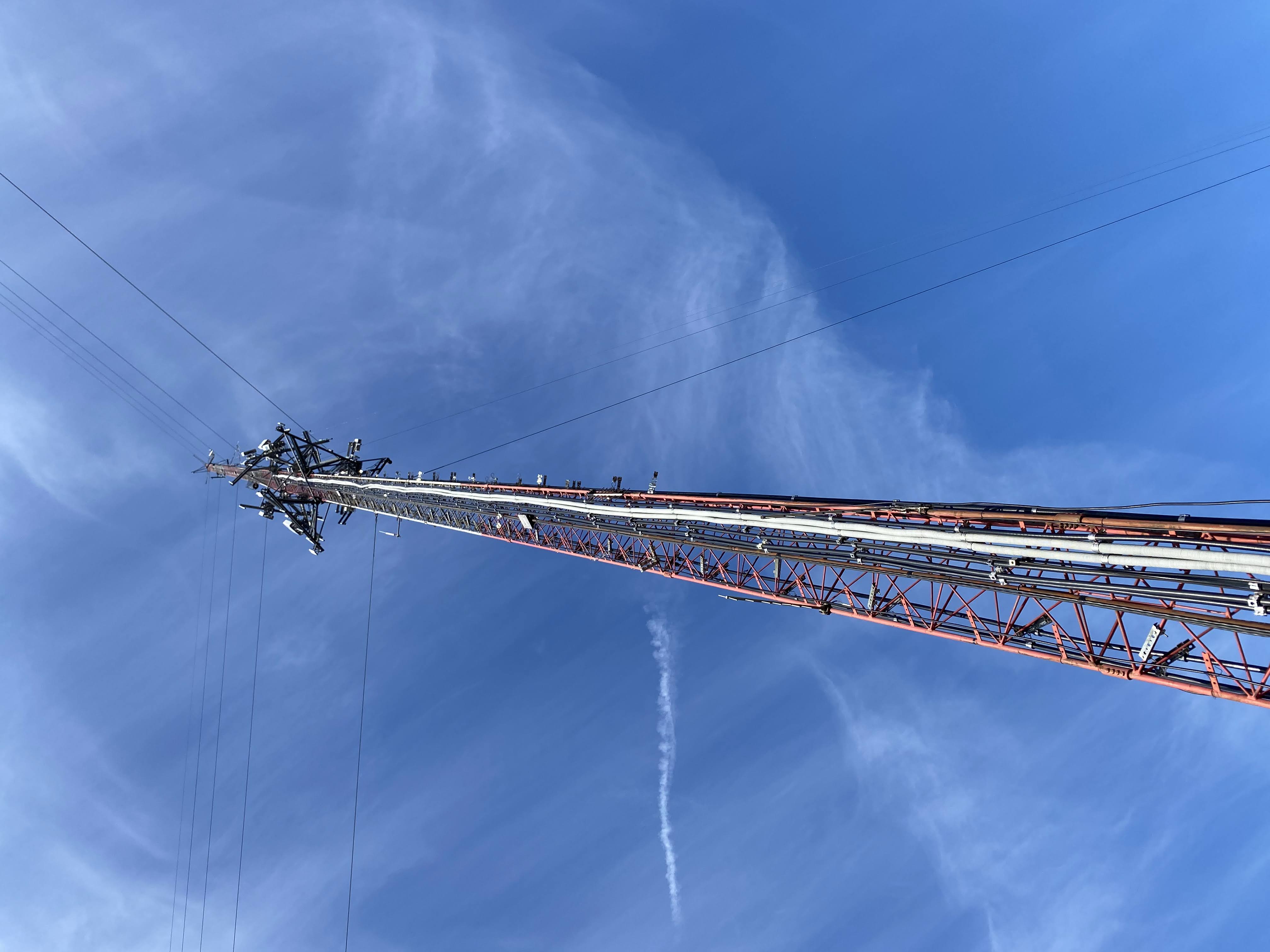 View from the base of the tower.